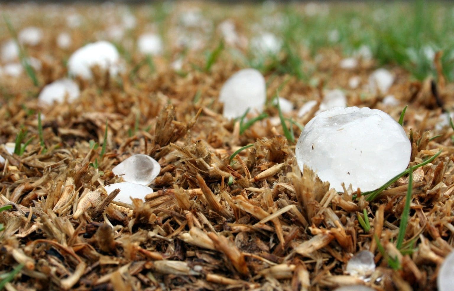 Hail Damage Information Herrmann Insurance Rapid City, SD